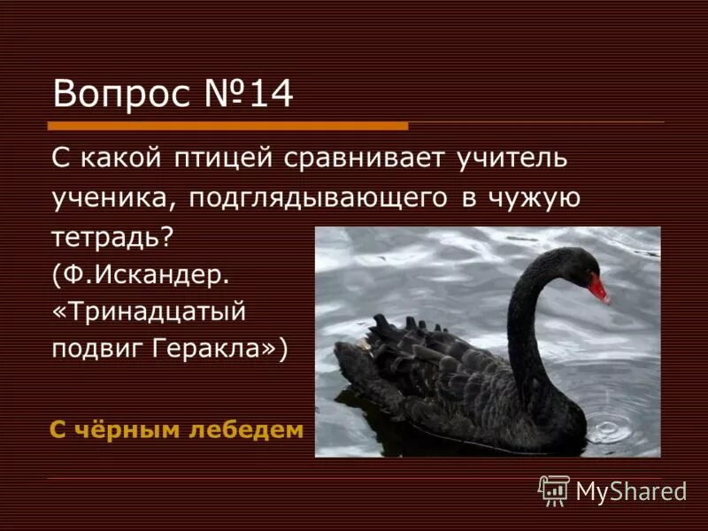 с чем можно сравнить птицу. кто царь птиц. образ царя ивана грозного. иван грозный в песне про купца калашникова. время ивана грозного.