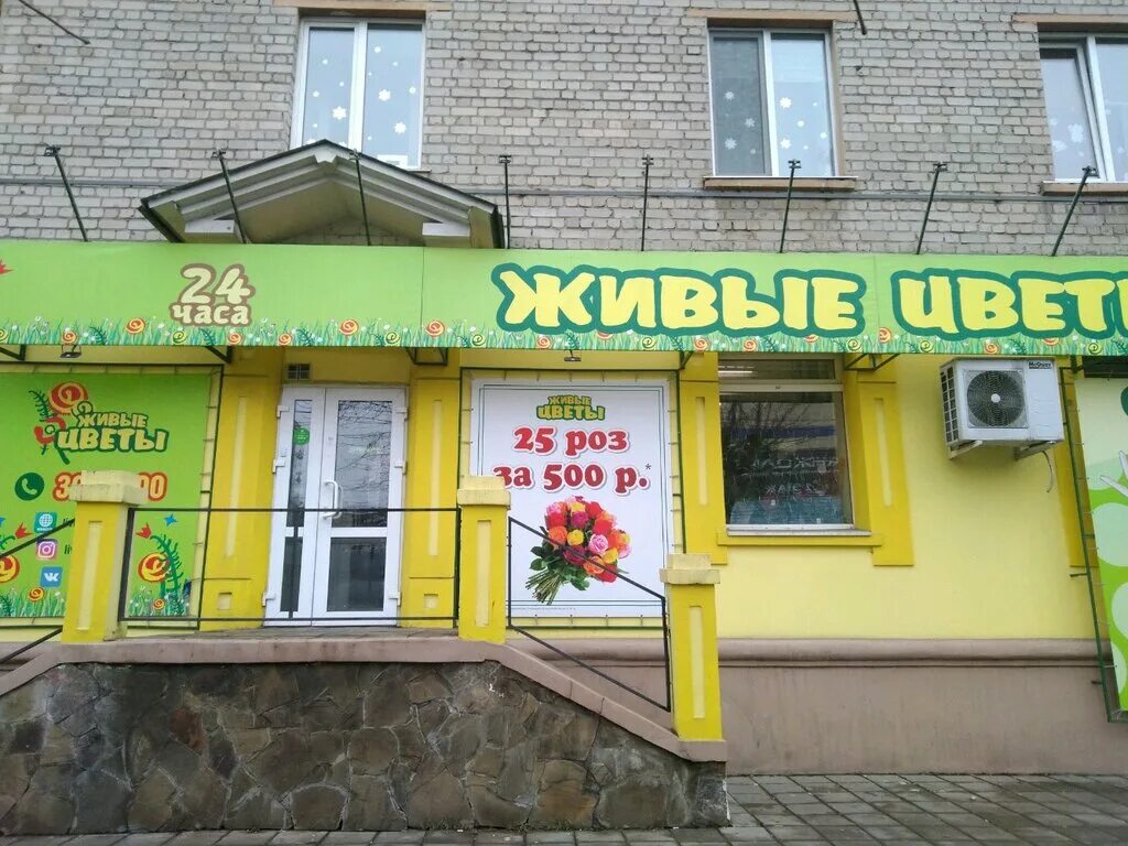 брянск в цвету. цветы в городе. бежицкая 1/10 брянск. цветочные брянск бежица. цветочные брянск бежица.