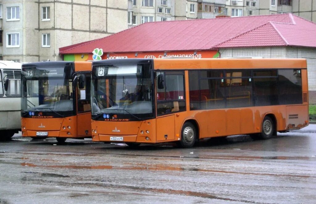 Автобус дикси. Автобусы Елец. Оранжевый автобус. Елецкий автобус. Оранжевые автобусы Калининград.