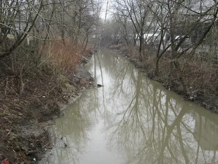 Река волковка петербург