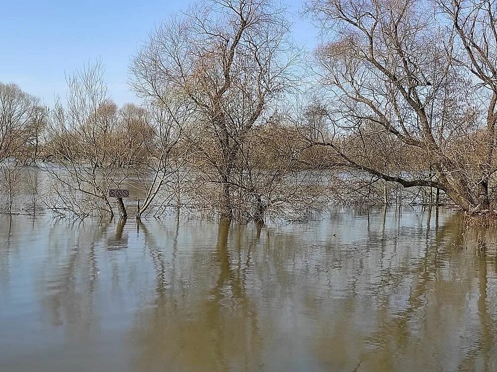 Уровень воды в реке ока город рязань. Половодье. Весенний паводок в Рязани. Половодье в Рязанской области. Разлив Оки весной.