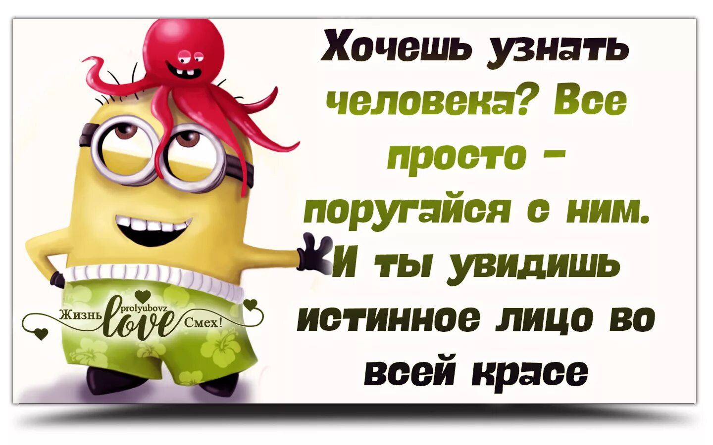 Когда хочешь определенного человека. Хочешь узнать человека поругайся с ним. Хочешь узнать человека поссорься с ним. Прикольные статусы в картинках. Хочешь узнать человека поругайся с ним истинное лицо.