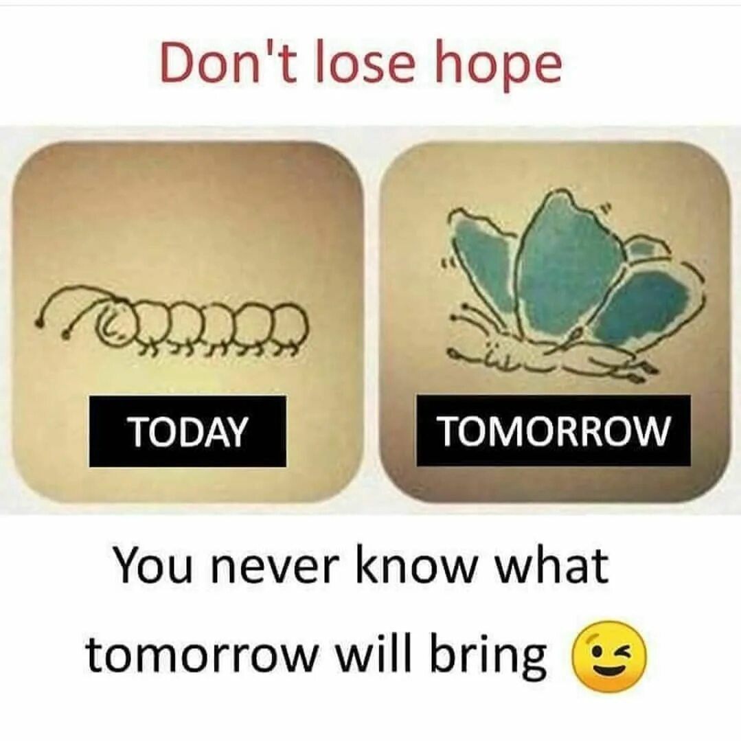 Lose hope. Do not lose hope. Hope фокус. What tomorrow. Do you agree with me