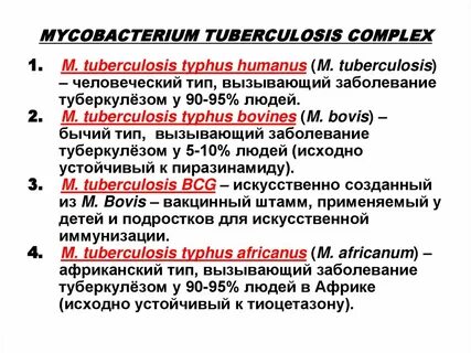 Микобактерии туберкулеза заболевания