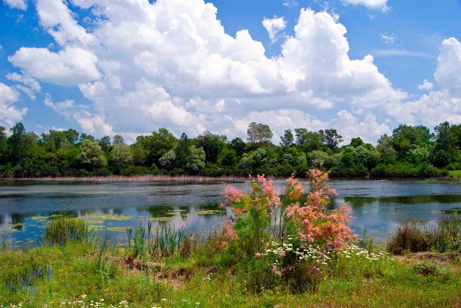 Село Успенское Краснодарский край. Успенское сельское поселение Краснодарский край Успенский район. Кубань Успенский район. Село Вольное Краснодарский край Успенский район.