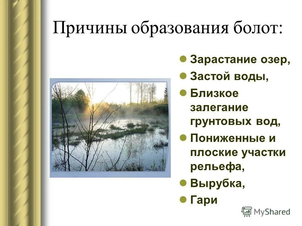 Что является основной причиной образования болот. Факторы образования болот. болота причины образования. причины возникновения болот. основные причины возникновения болот.