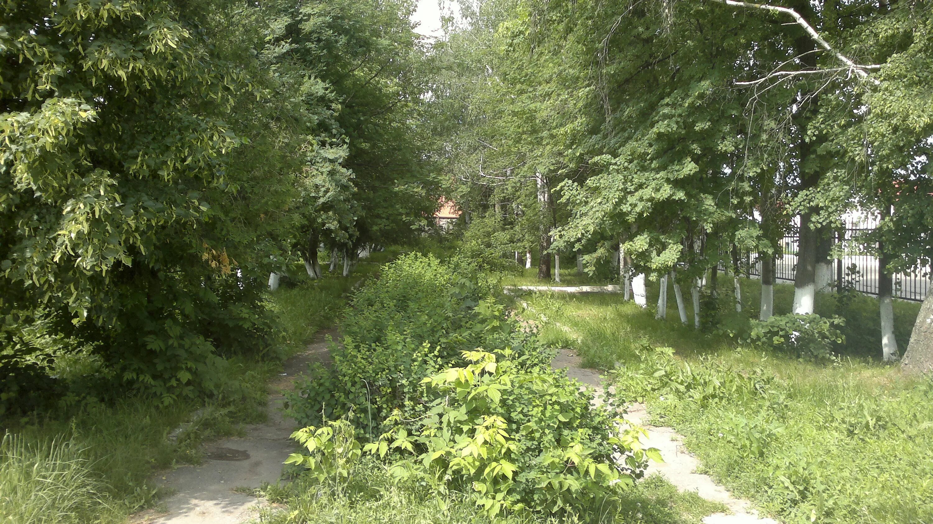 Площадка силовое многоборье. Шилово парк. Шилово парк. Семейный парк в шилово. Шилово праздники.