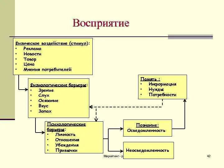 Стимул это воздействие. Виды восприятия рекламы. Маркетинговые стимулы. Восприятие рекламы потребителем. Процесс воздействия и восприятия рекламы.