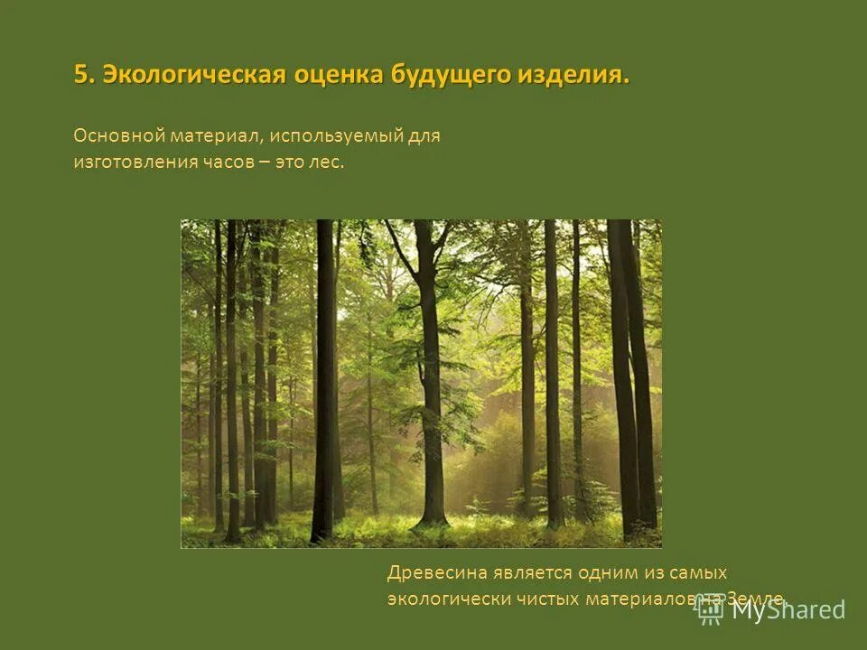 экологически чистая природа. окружающее 10. окружающее 10. пирамида передачи энергии биомассы.