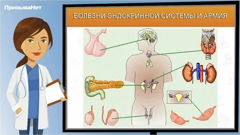 Сообщение о нарушении работы эндокринной системы