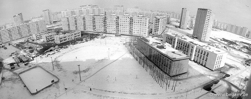 Березовая аллея 1990 год. Фото старого отрадного. История села медведково москва. Фото старого отрадного. Фото старого отрадного.