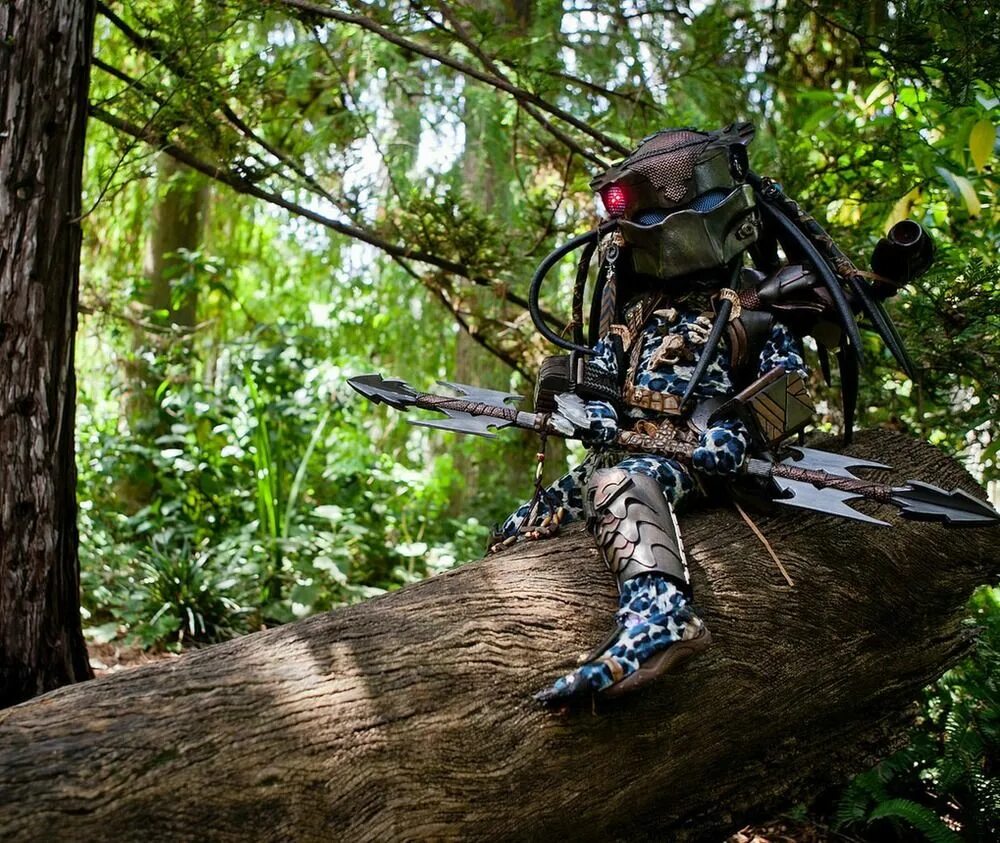 Am predator