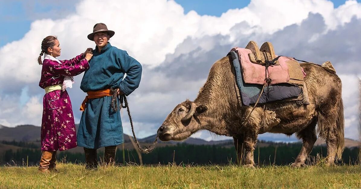 кочевья в монголии. цаатаны монголии. современные кочевники. американские кочевники. монголия кочевники юрта.