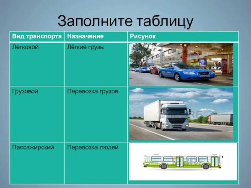 Виды транспорта. Виды автомобильного транспорта. Транспорт виды транспорта. DBL snhfycgjhnf.