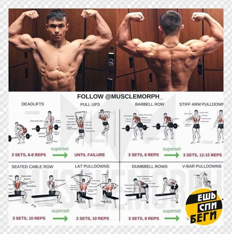 Программа тренировки верх низ для мужчин. Workout тренировка на трицепс и грудь. Тренировки с собственным весом. План тренировок в тренажерном зале в схеме. Суперсеты на плечи для мужчин.