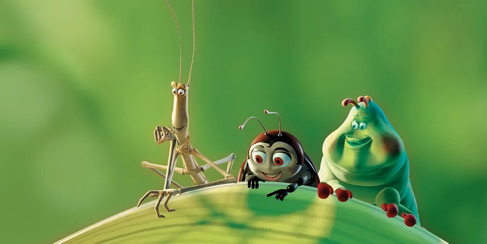 A bug s sleep. A bug s sleep