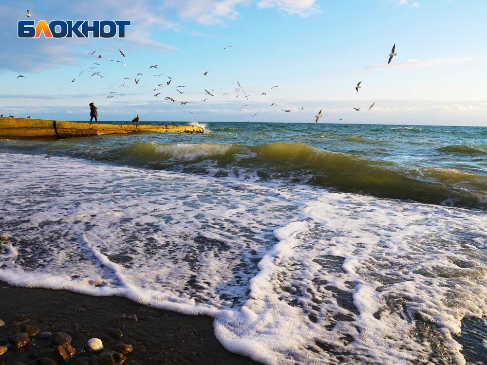 Блокнот сочи сегодня. Блокнот. Наборы ручка и блокнот из сочи. Корпоративный блокнот. Блокнот 60л а6 гр.