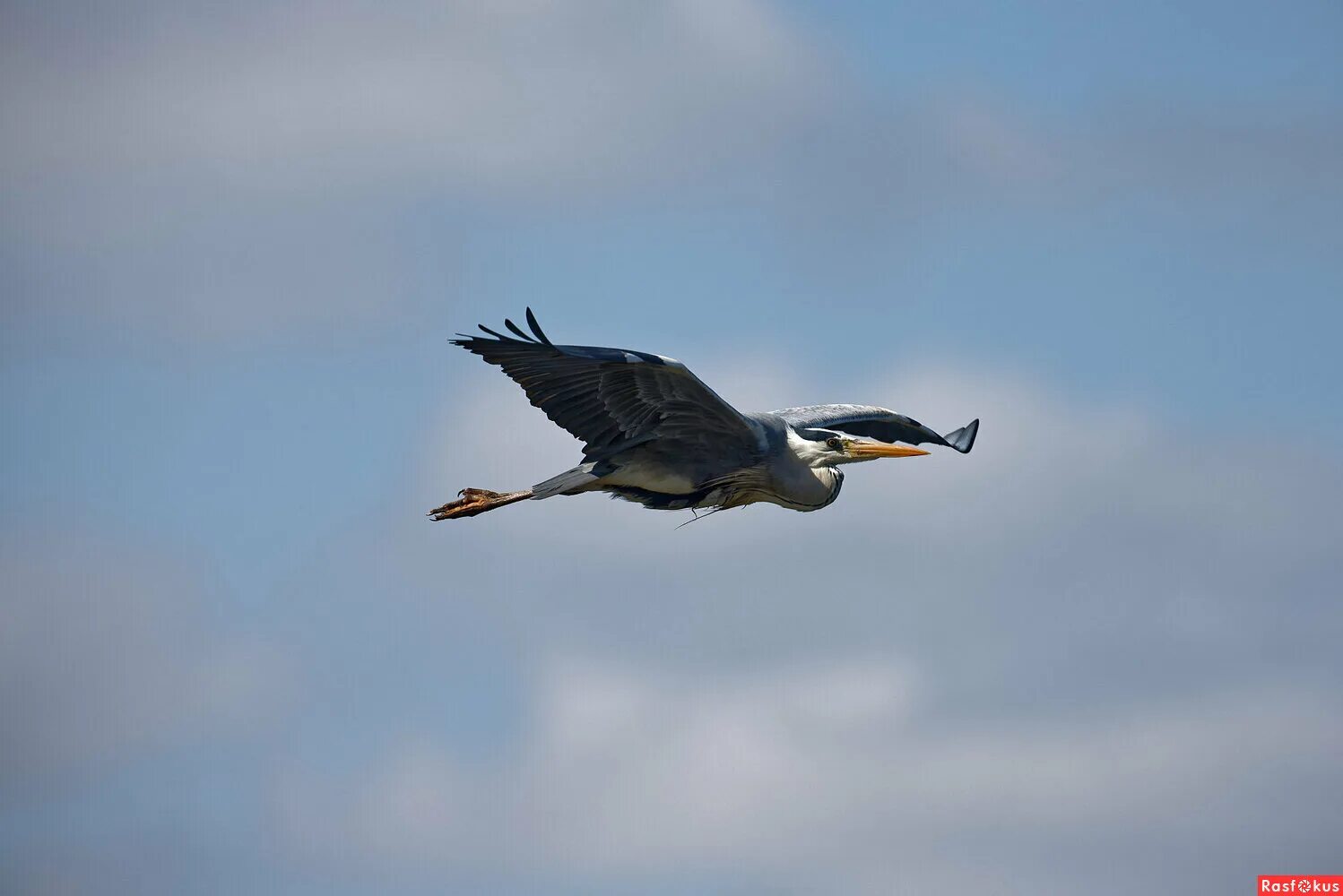 почему в евпатории летают истребители. лететь тут. над евпаторией летают истребители. лететь тут. птицы над храмом.