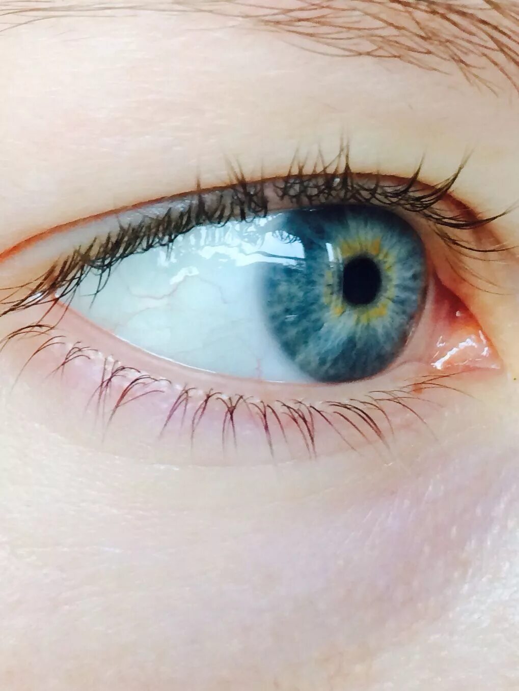 Зелено голубо желтые глаза. Гетерохромия Радужки. Центральная гетерохромия хамелеон. Болотный цвет глаз гетерохромия. Цветные линзы гетерохромия.