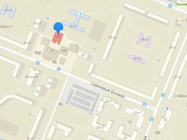 482 школа выборгского района официальный сайт. Органы опеки выборгского района. Опека санкт петербург выборгский. Опека выборгского района парголово. Опека санкт петербург выборгский.