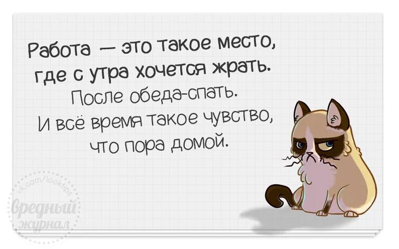 Какая к черту леди я хочу домой. Работа это такое место где с утра. Работа это такое место где. Работа это такое место где с утра хочется. Работа.