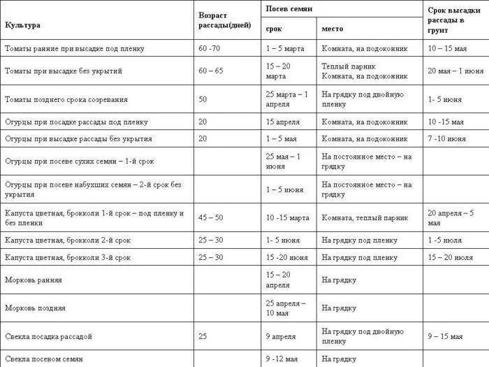 Когда высаживать рассаду помидор в подмосковье. Таблица посева рассады в грунт. Даты посадки рассады огурцов в открытый грунт. Сроки посадки рассады томата в открытый грунт. Таблица посева семян на рассаду в открытый грунт.