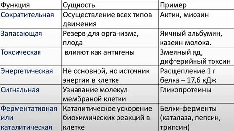 Функции белка ферментативная двигательная