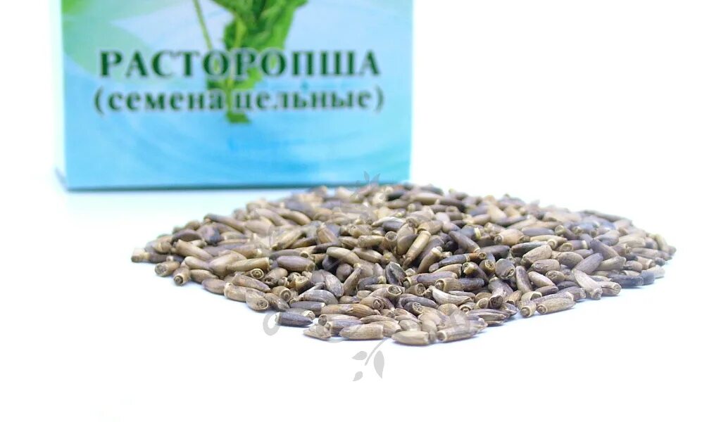 Расторопша зерна. Семена расторопша пятнистая. расторопша пятнистая сырье. расторопша пятнистая лрс. семена расторопши пятнистой.