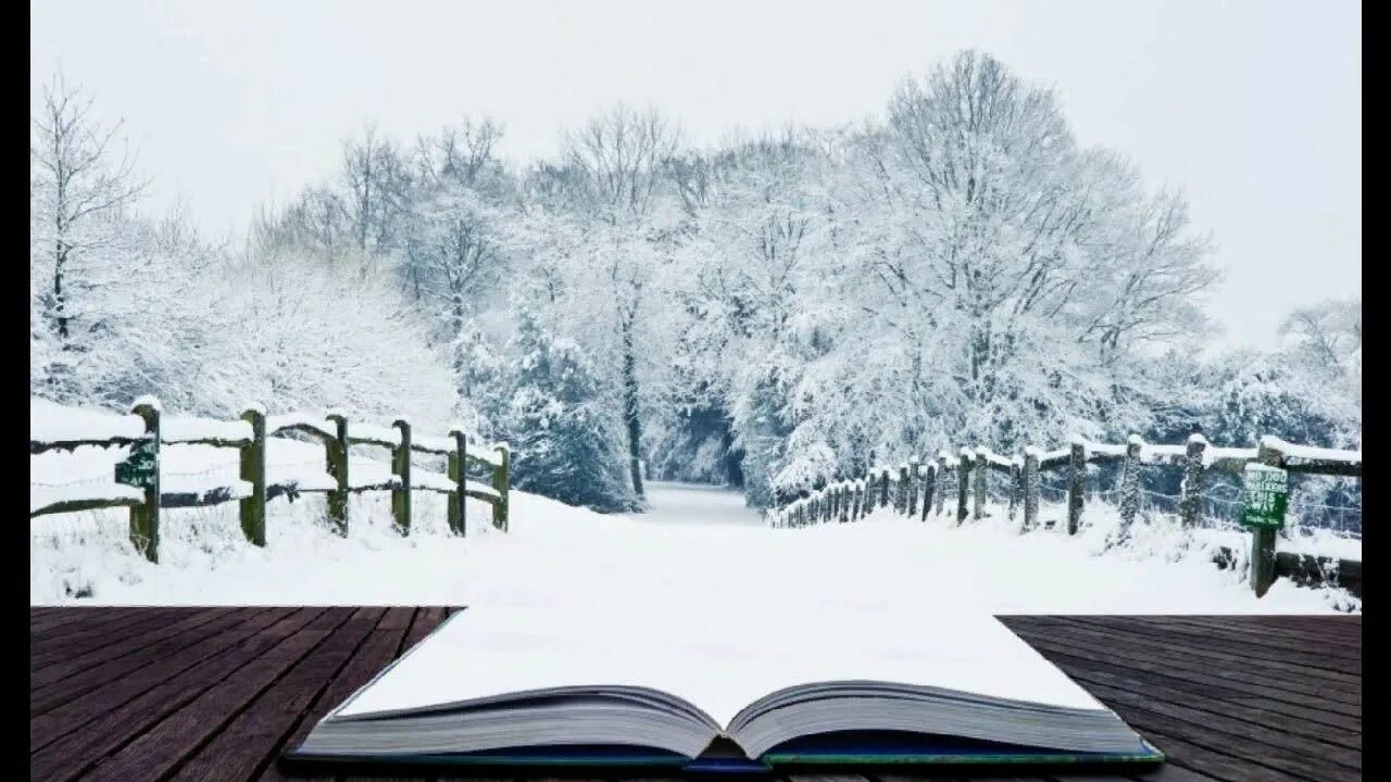 Книга зима картинки. Книжный снегопад. книги зима фон. книга на снегу. зима в открытой книге.