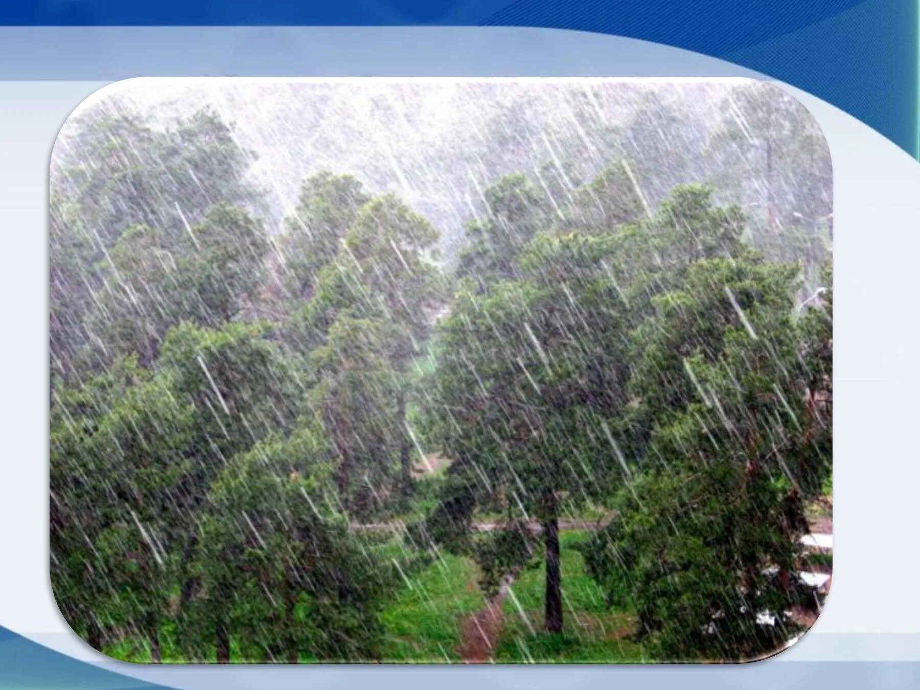 Хлынул дождь. Сильный дождь. Хлынул проливной дождь. Спорый дождь рисунок. Ливень доклад.