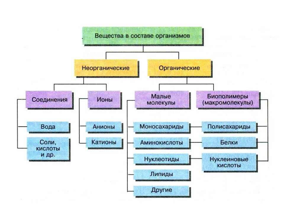 Химическая организация живого. Схема неорганические вещества клетки. Органические соединения входящие в состав живых организмов. Какие органические соединения входят в состав клетки. Химические вещества клетки неорганические органические.