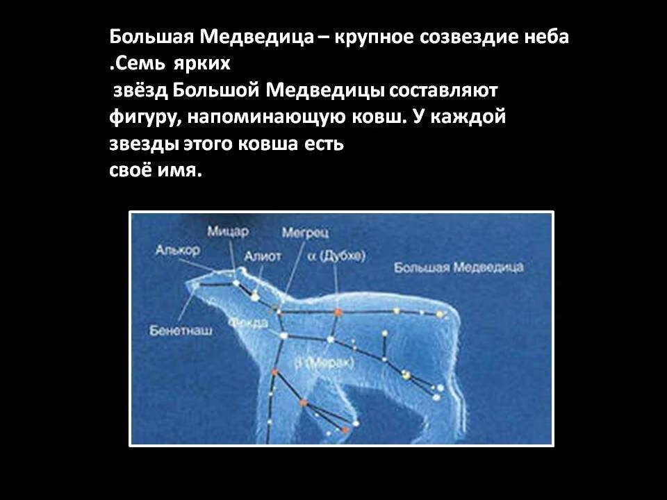 Созвездия медведицы рассказ. Созвездие осеннего неба большая Медведица. Рассказ о созвездии большая Медведица. Рассказ о звезде о созвездии малой медведицы. Сообщение о созвездии большой медведицы.