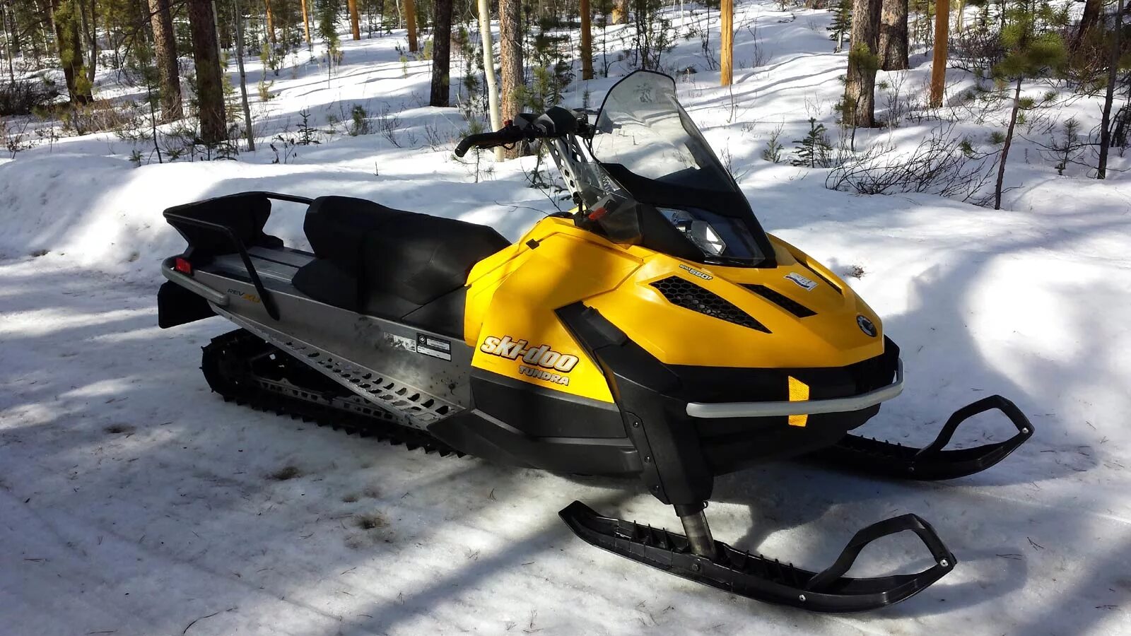 Купить снегоход брп в россии. Ski Doo Tundra Sport 550. Снегоход BRP Tundra 600. BRP 550 снегоход. Снгоход скайду Скандик 550.