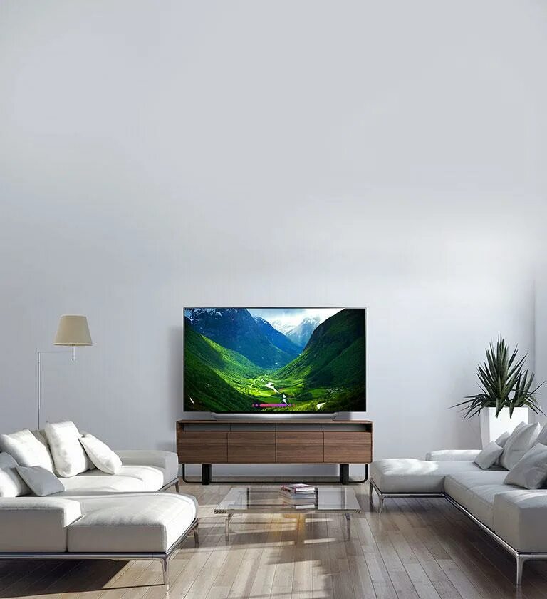 Телевизор 55 рейтинг лучших. Телевизор LG OLED 65. OLED телевизоры 55 дюймов. ТВ лж олед 55 дюймов. OLED 60 дюймов LG.