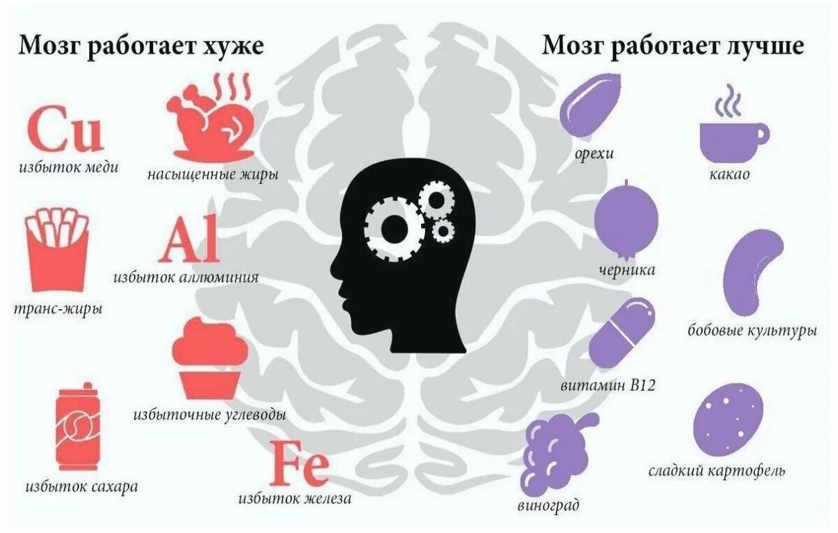 Время активного мозга. Мозг инфографика. Инфографика мозг человека. Мозг работает. Мозг плохо функционирует.