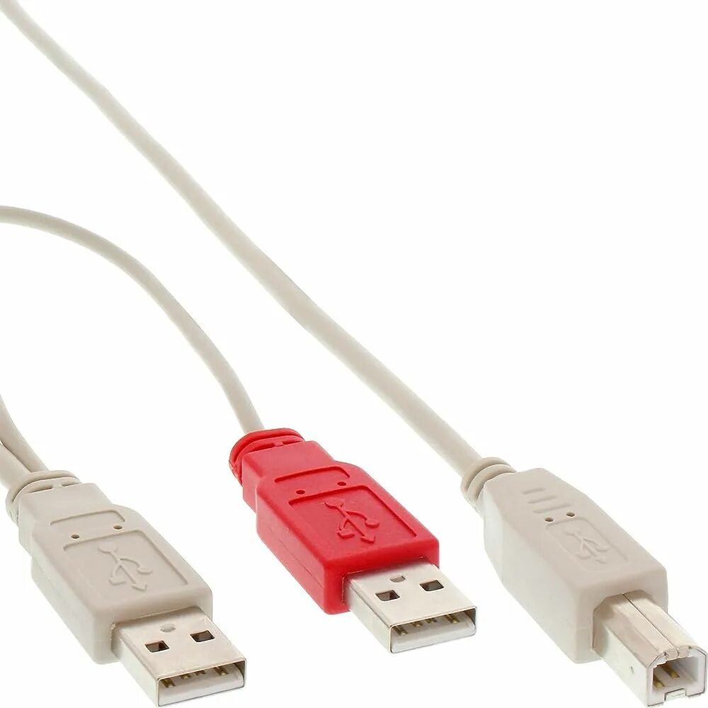 Купить usb новосибирск. Кабель USB 2.0 A USB 2.0 A. USB USB 2.0 USB B. Кабель USB2.0 USB A - USB B. Кабель USB 2.0 Type b.