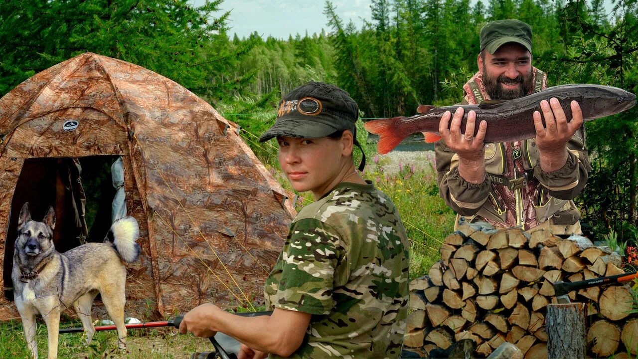 Тайга таежная жизнь. Жизнь в тайге. Поход в тайгу. Поездка в тайгу.