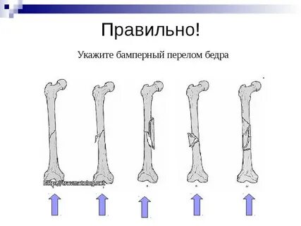 19 правильно