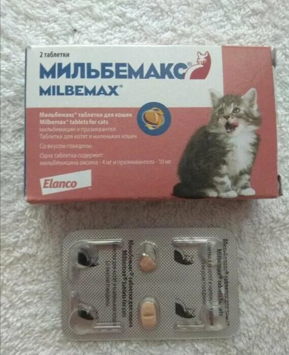 Мильбемакс для кошек как давать. Таблетки от глистов для котят мильбемакс. таблетки от гельминтов для кошек мильбемакс. elanco мильбемакс для взрослых кошек. лекарство от глистов для кошек мильбемакс.