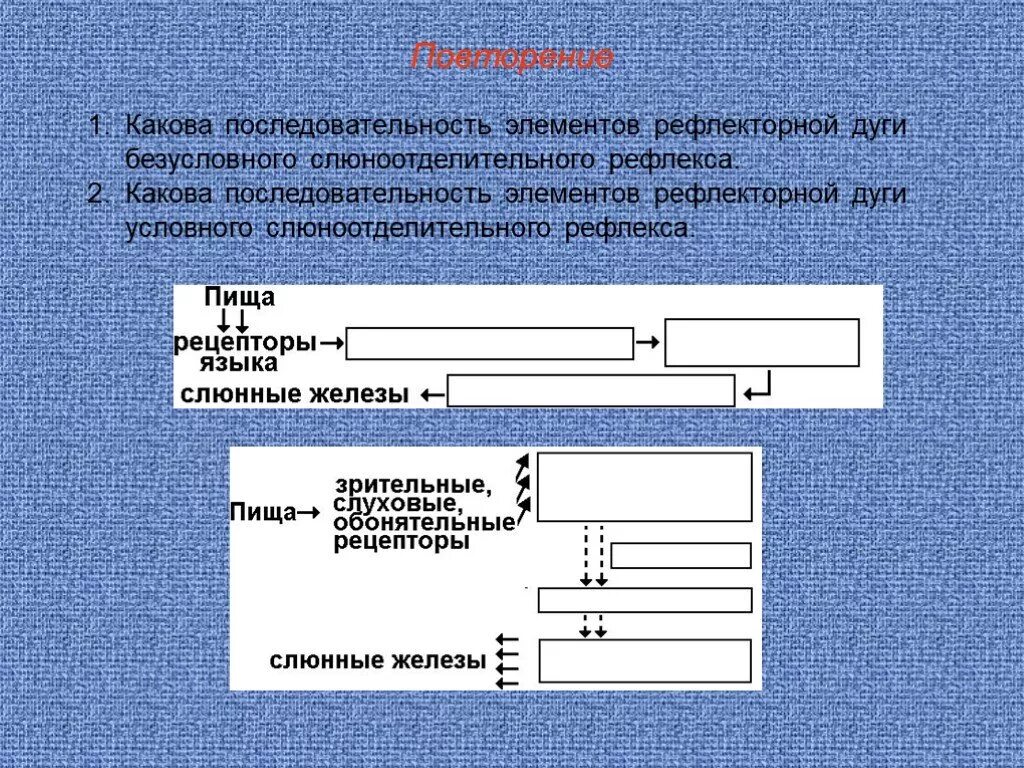 Элементы последовательности. Последовательность элементов рефлекторной дуги условного рефлекса. Рефлекторная дуга безусловного слюноотделительного рефлекса. Дуга безусловного рефлекса последовательность.