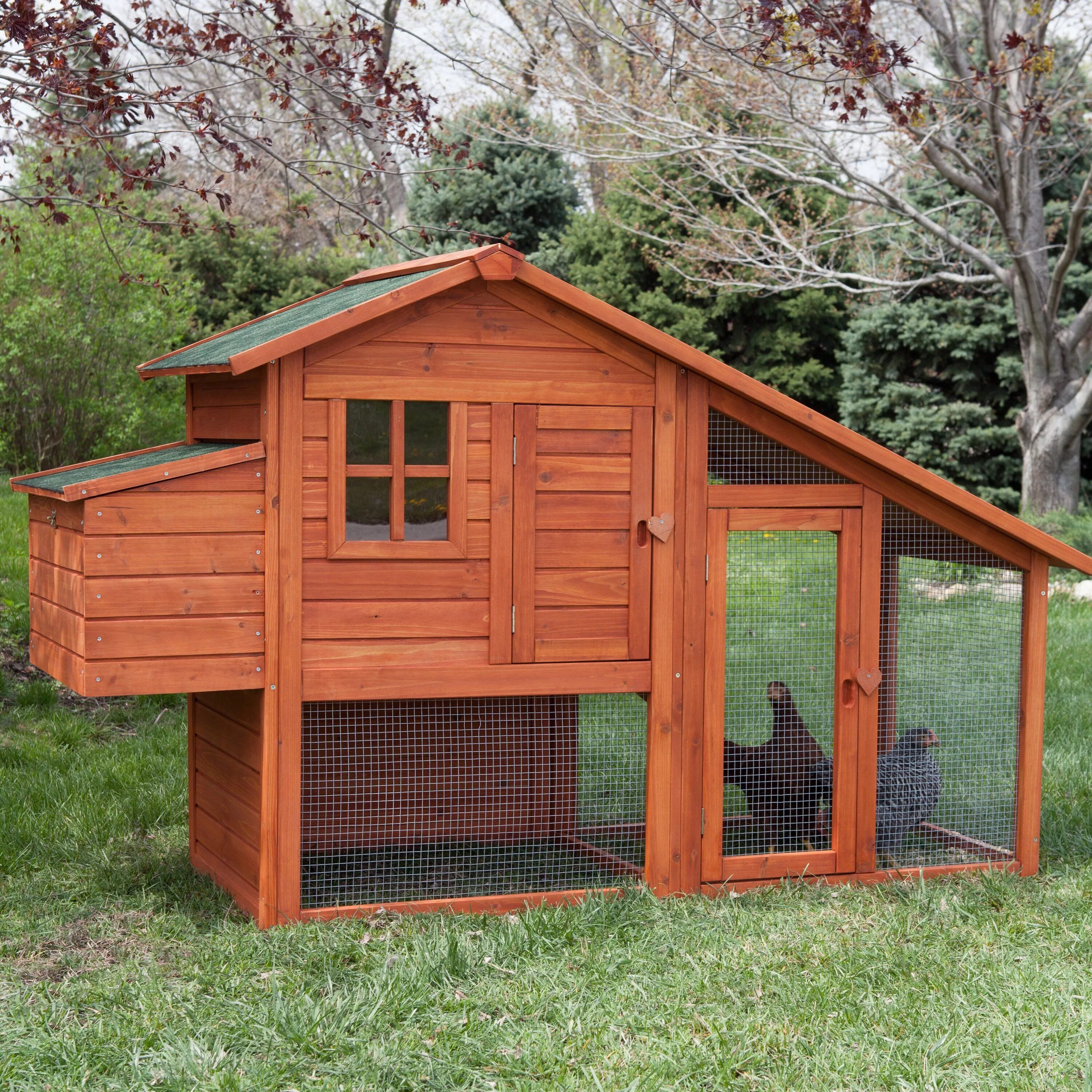 Фото курятника. Курятники Дрондина. Курятник 3х3м. Chicken Coop Курятники. Курятник 2на1.8.