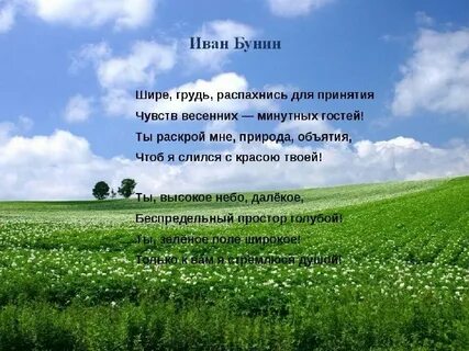 Распахни мне объятья твои густолистый