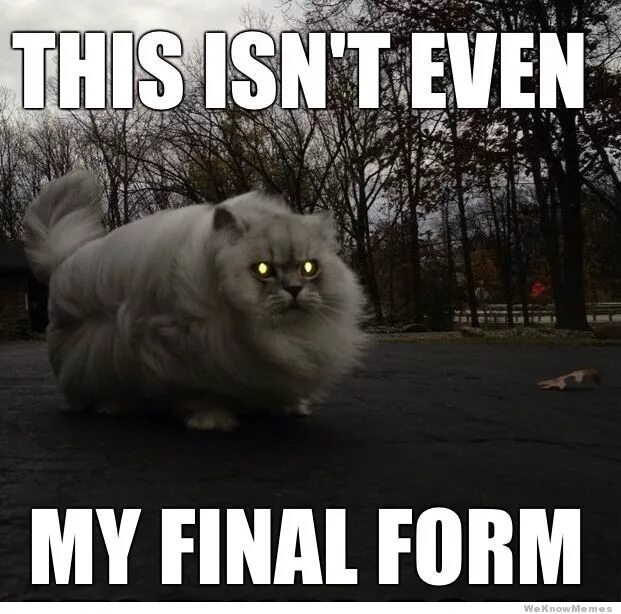 This isn't even my Final form. It's not even my Final form. My Final form meme. Личинка котэ. There isn t a cat