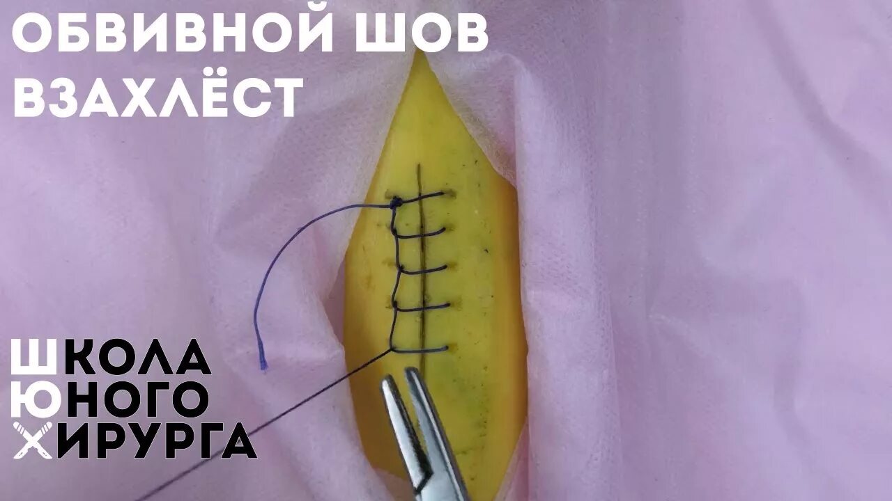 Как снять шов самостоятельно видео Собаки