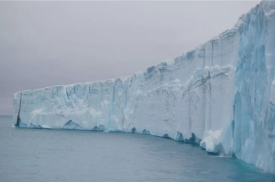 Плоская земля Антарктида стена льда. Ледяная стена в Антарктиде плоской земли. Антарктика Ледяная стена. Стена в Антарктиде. Ледовое видео