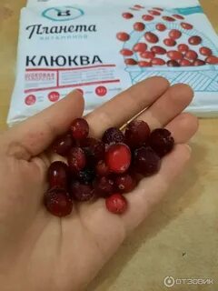 Клюква витамин с
