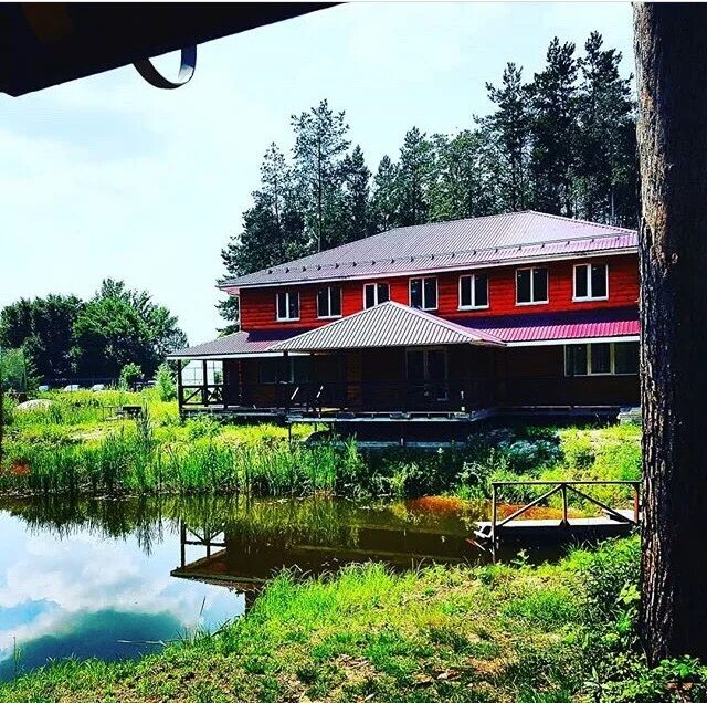 гостевой дом сосновый бор севастополь. сосновый дворик дзержинск желнино. гостевой дом сосновый двор ольгинка. сосновый бор ольгинка. сосново гостевой дом.