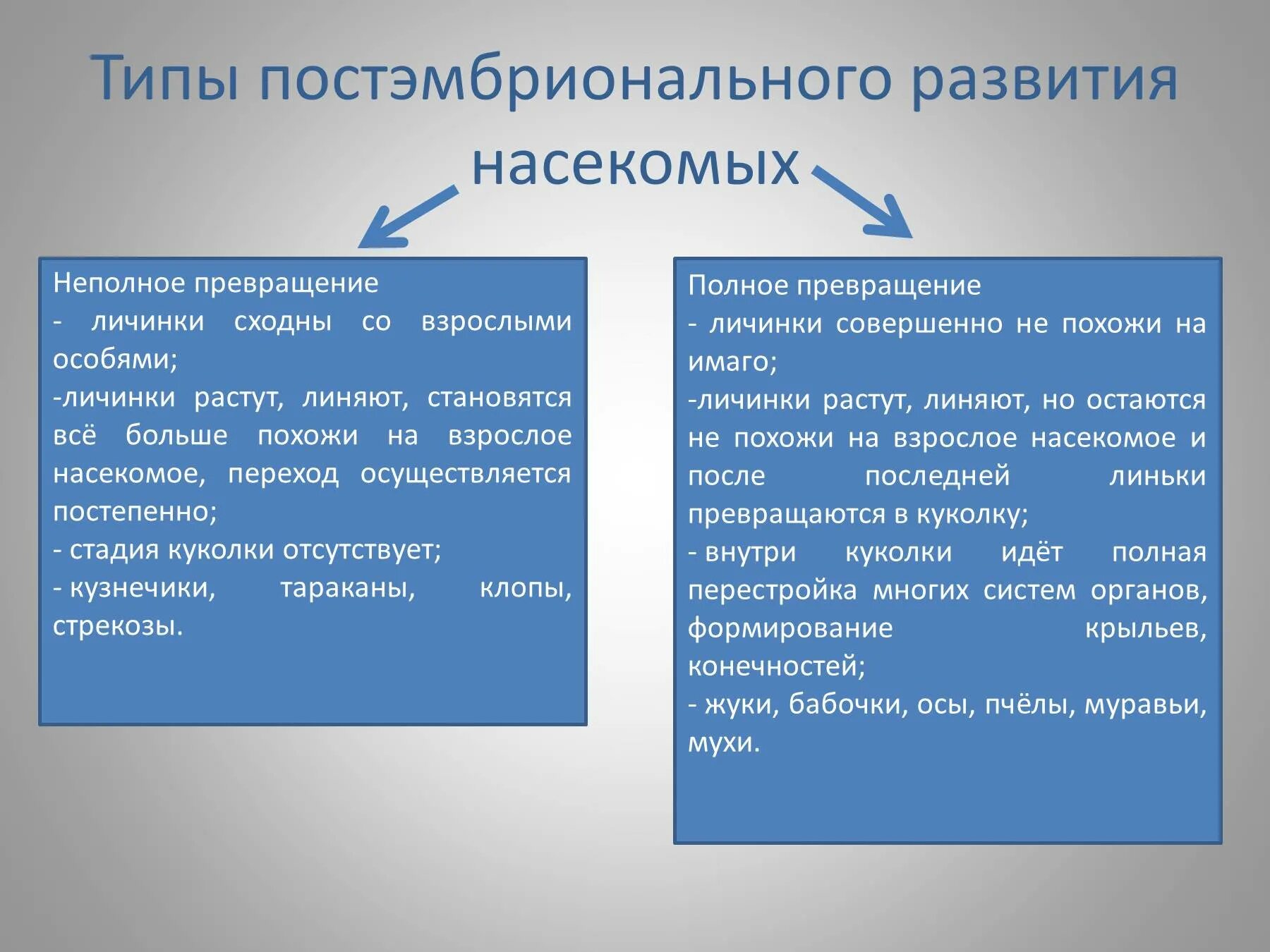 Чем отличается полное. Полное и неполное превращение. Полное и неполное превращение различия. Развитие с полным и неполным превращением. Полное и неполное развитие.