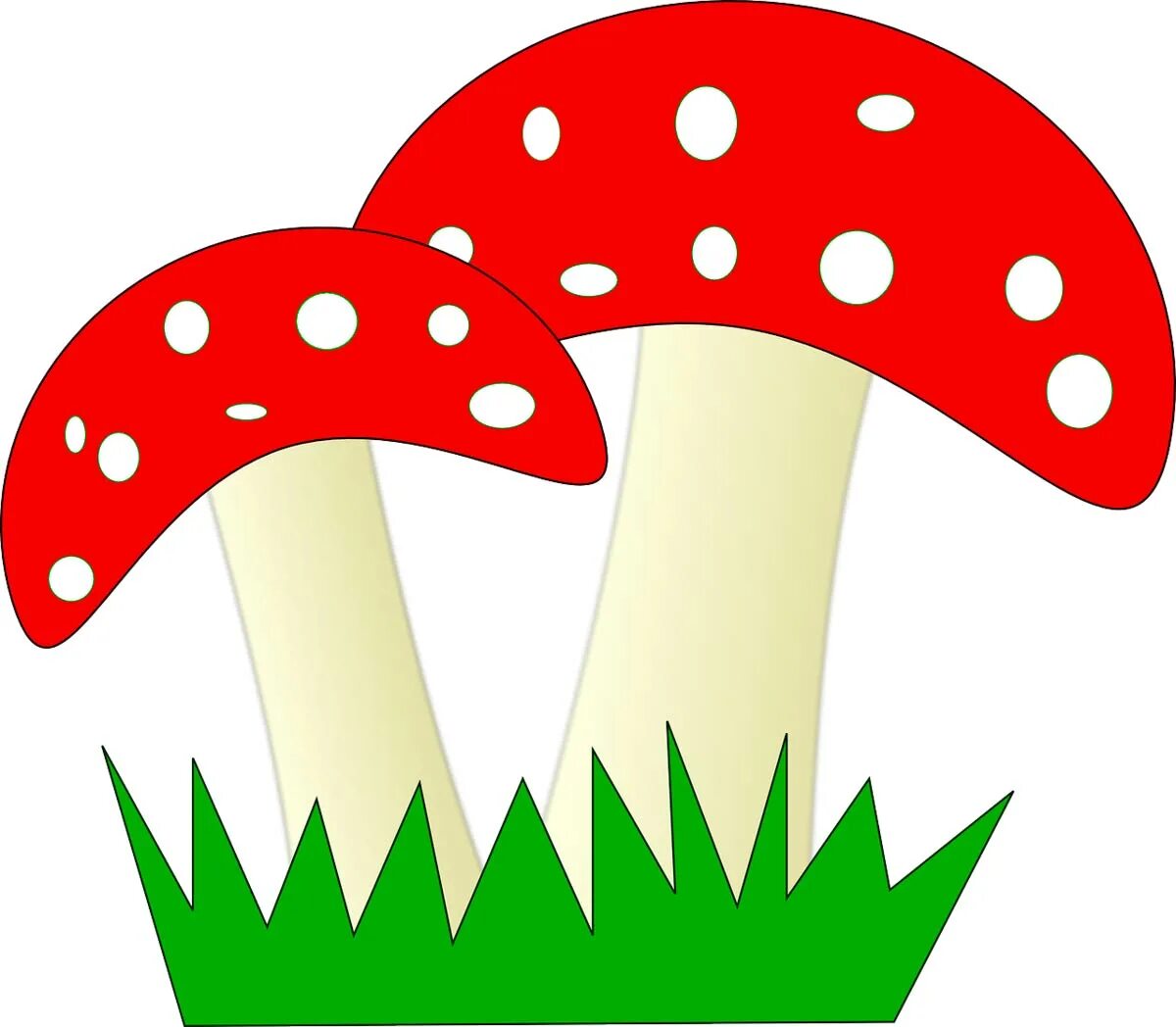 Гриб поганка раскраска. Мухомор раскраска. «грибы для белки» (комарова, с. Контур грибов. Грибы вырезать.