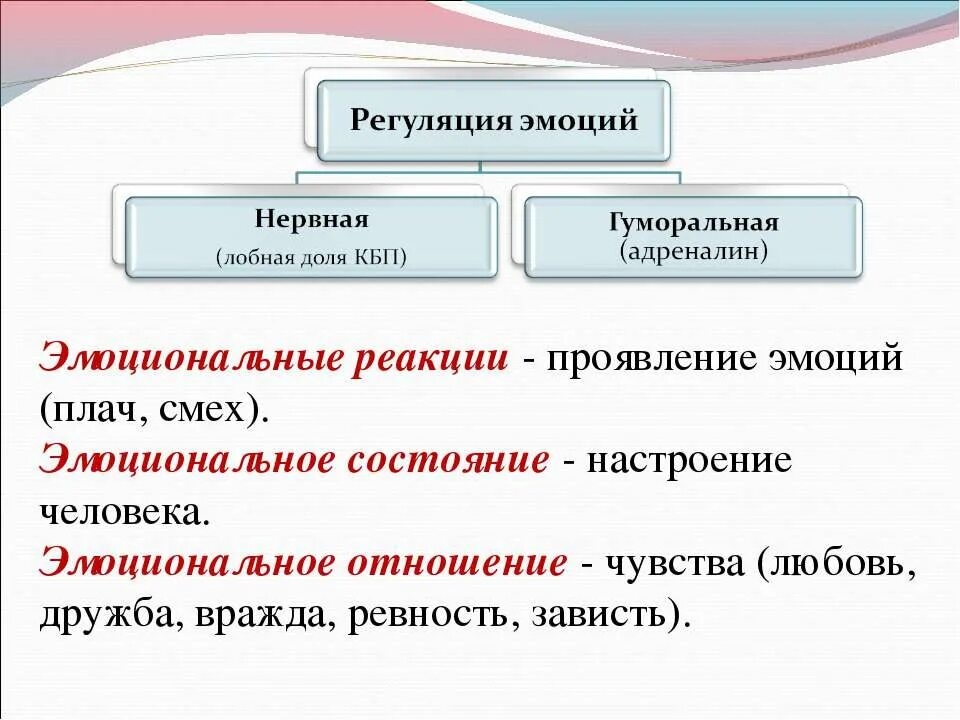 Эмоциональные реакции и состояния. Презентация эмоции 8 класс биология. Эмоциональные реакции примеры. Эмоции биология 8 класс. Первая эмоциональная реакция